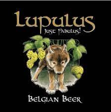 Lupulus - Beer Glass Enthusiast