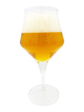 Terrest 33cl - Beer Glass Enthusiast